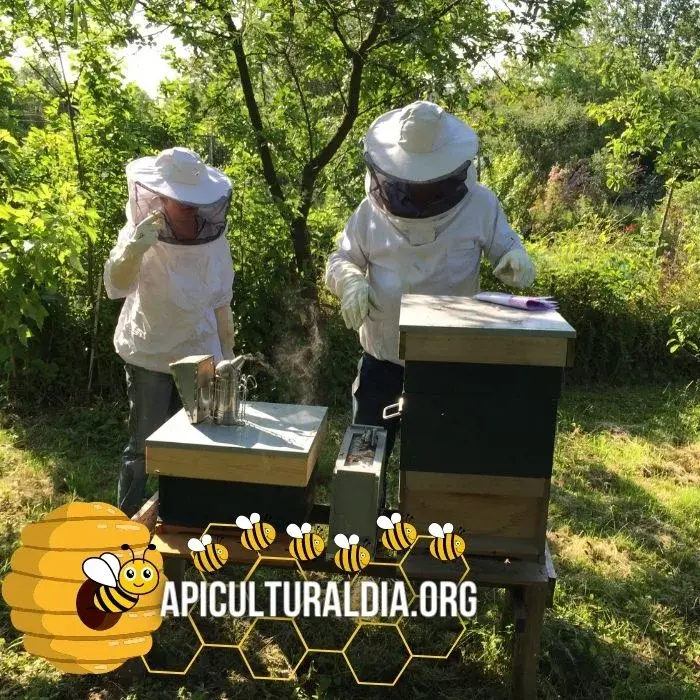 La cera de abejas - Un producto útil y valioso