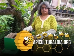 Señora con una pequeña colmena e su jardin apicultura como hobby