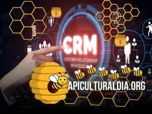 sistema CRM en acción